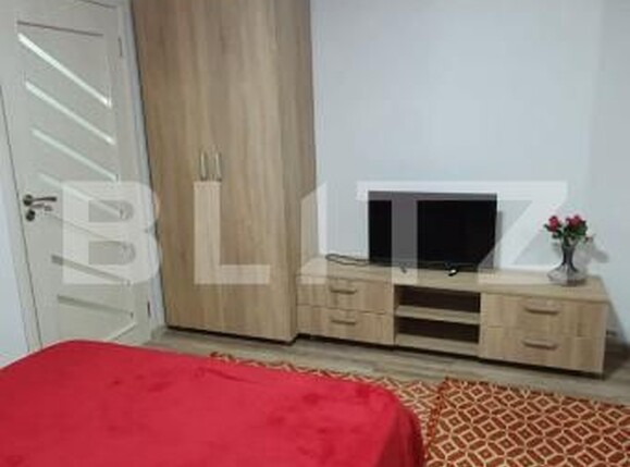 Garsonieră de vânzare Lapus - 204319AV | BLITZ Craiova | Poza2