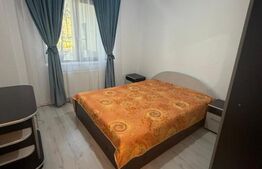 Garsonieră de închiriat Valea Rosie - 204411AI | BLITZ Craiova | Poza2