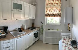 Apartament de inchiriat, 2 camere, 60 mp, zona Rovine