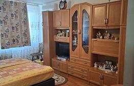 Apartament de vânzare 2 camere George Enescu - 204546AV | BLITZ Craiova | Poza3