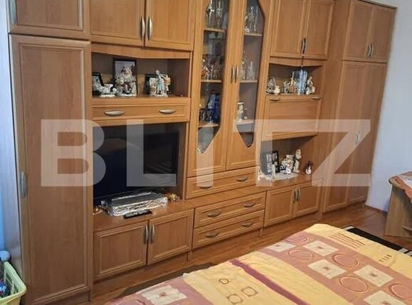 Apartament de vânzare 2 camere Lapus Arges - 204408AV | BLITZ Craiova | Poza3