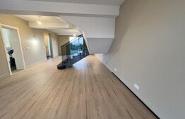 Vilă P+1 cu terasă, 150 mp, teren 500 mp, zona Damila