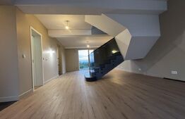 Vilă P+1 cu terasă, 150 mp, teren 500 mp, zona Damila