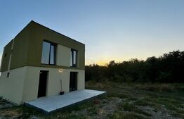 Vilă P+1 cu terasă, 150 mp, teren 500 mp, zona Damila