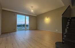 Vilă P+1 cu terasă, 150 mp, teren 500 mp, zona Damila