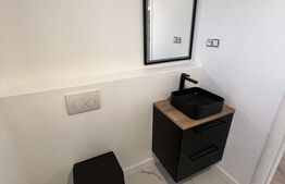 Vilă P+1 cu terasă, 150 mp, teren 500 mp, zona Damila