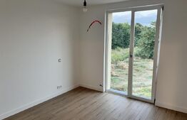 Vilă P+1 cu terasă, 150 mp, teren 500 mp, zona Damila