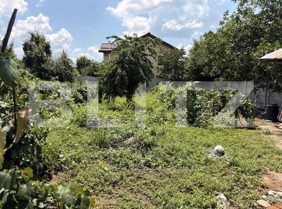 Casa de vânzare 4 camere Leu - 204486CV | BLITZ Craiova | Poza6
