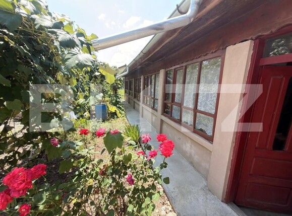 Casa de vânzare 4 camere Leu - 204486CV | BLITZ Craiova | Poza4