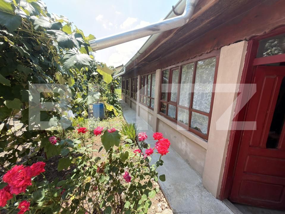 Casa de vânzare 4 camere Leu - 204486CV | BLITZ Craiova | Poza4