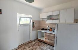 Casa de vanzare, 33 mp, teren 405 mp, zona Filiasi