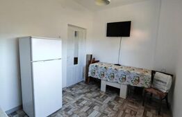 Casa de vanzare, 33 mp, teren 405 mp, zona Filiasi