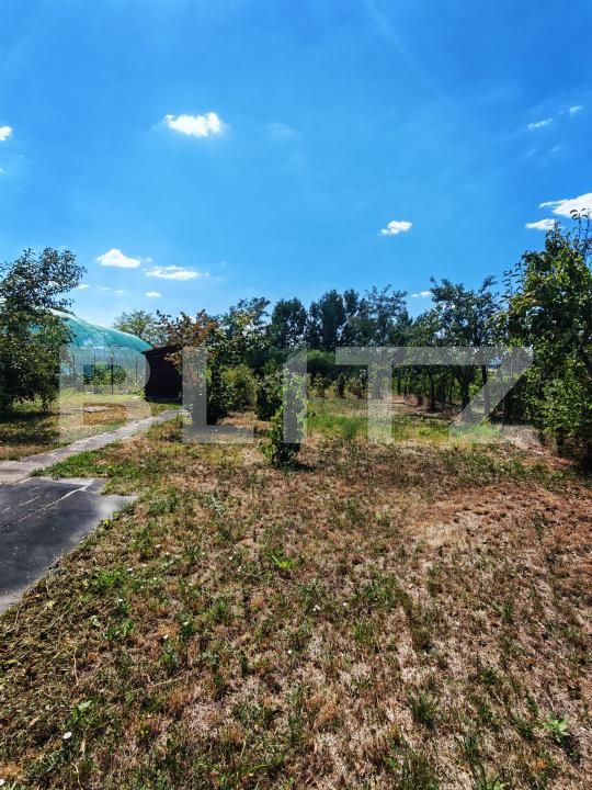 Casa de vânzare 1 camera Filiaşi - 204508CV | BLITZ Craiova | Poza10
