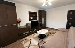 Apartament de vânzare 2 camere Lapus Arges - 204408AV | BLITZ Craiova | Poza1