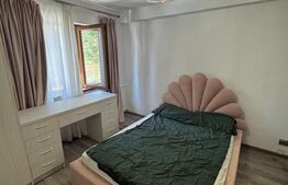 Camera de camin cu baie proprie de vanzare, 22 mp, zona Lapus