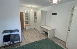 Camera de camin cu baie proprie de vanzare, 22 mp, zona Lapus