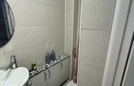 Camera de camin cu baie proprie de vanzare, 22 mp, zona Lapus