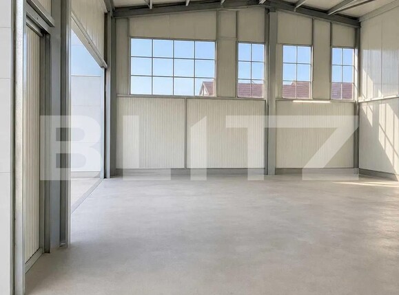 Spațiu comercial de închiriat Romanesti - 204616SIC | BLITZ Craiova | Poza2