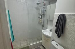Garsoniera de vanzare,31 mp, zona Brazda lui Novac