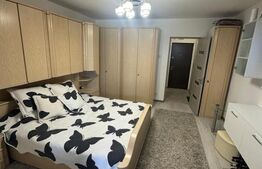 Garsoniera de vanzare,31 mp, zona Brazda lui Novac