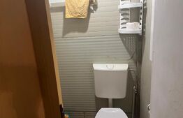 Spatiu comercial, 32 mp cu vad, zona Agronomie