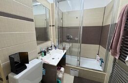Apartament 2 camere, 43 mp, zona Calea Severinului