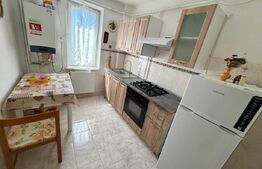 Apartament 2 camere, 50 mp, zona Brazda lui Novac