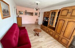 Apartament 2 camere, 50 mp, zona Brazda lui Novac