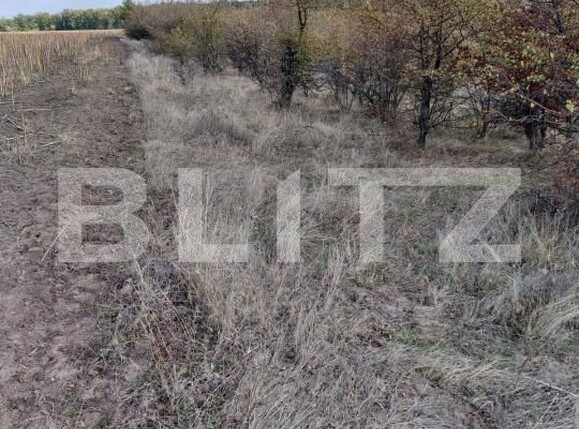Teren de vânzare Exterior Vest - 204810TV | BLITZ Craiova | Poza4