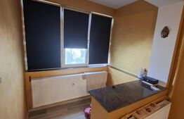 Garsonieră de vânzare, 30 mp, zona Brazda lui Novac – Școala 23
