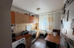 Apartament 2 camere de închiriat, 55 mp, zona Brazda lui Novac