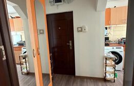 Apartament 2 camere de închiriat, 55 mp, zona Brazda lui Novac