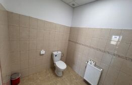 Hală industrială 390.17mp, teren 2.045 mp, afacere tipografie la cheie