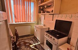 Apartament 2 camere, 45 mp, zona Ultracentrala-English Parc