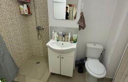 Garsonieră de vânzare, 32.68 mp, zona Brazda lui Novac