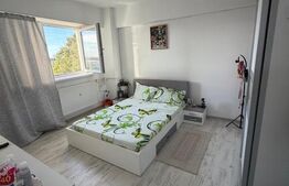 Garsonieră de vânzare, 32.68 mp, zona Brazda lui Novac