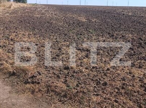 Teren de vânzare Mlecanesti - 205005TV | BLITZ Craiova | Poza2