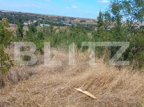 Teren de vânzare Mlecanesti - 205005TV | BLITZ Craiova | Poza1