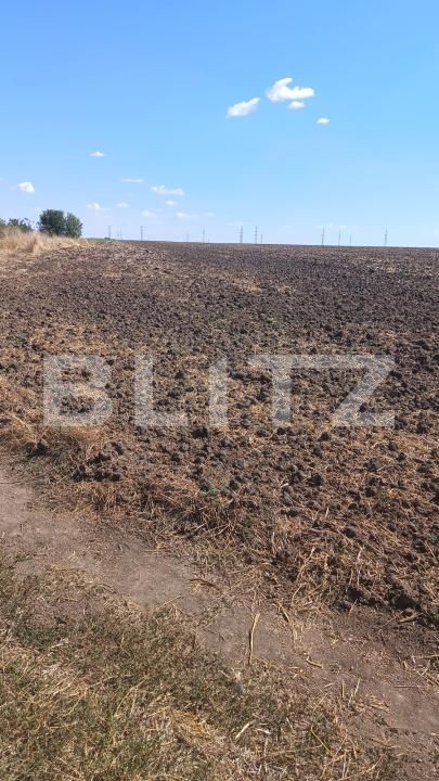 Teren de vânzare Mlecanesti - 205005TV | BLITZ Craiova | Poza2