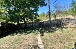 Casa de vacanta, 50 mp, 10.000 mp teren, zona Ungureni