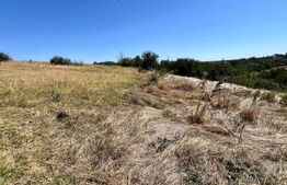 Casa de vacanta, 50 mp, 10.000 mp teren, zona Ungureni