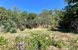 Casa de vacanta, 50 mp, 10.000 mp teren, zona Ungureni
