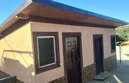 Casa P+1, 150 mp utili, 3940 mp teren, panouri fotovoltaice, comuna Almaj
