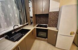 Studio de vanzare, 46.90 mp, Calea Severinului