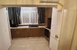 Studio de vanzare, 46.90 mp, Calea Severinului