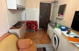 Camera de camin, 11.50 mp, zona Valea Rosie