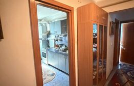 Apartament 2 camere, 65 mp, zona Centru-Malmo 