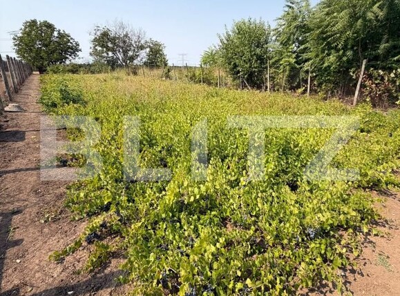 Casa de vânzare 3 camere Tarnava - 205481CV | BLITZ Craiova | Poza8