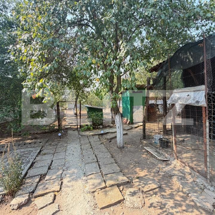 Casa de vânzare 3 camere Tarnava - 205481CV | BLITZ Craiova | Poza7