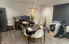 Casa 330 mp, teren 3.080 mp, zona Cosoveni